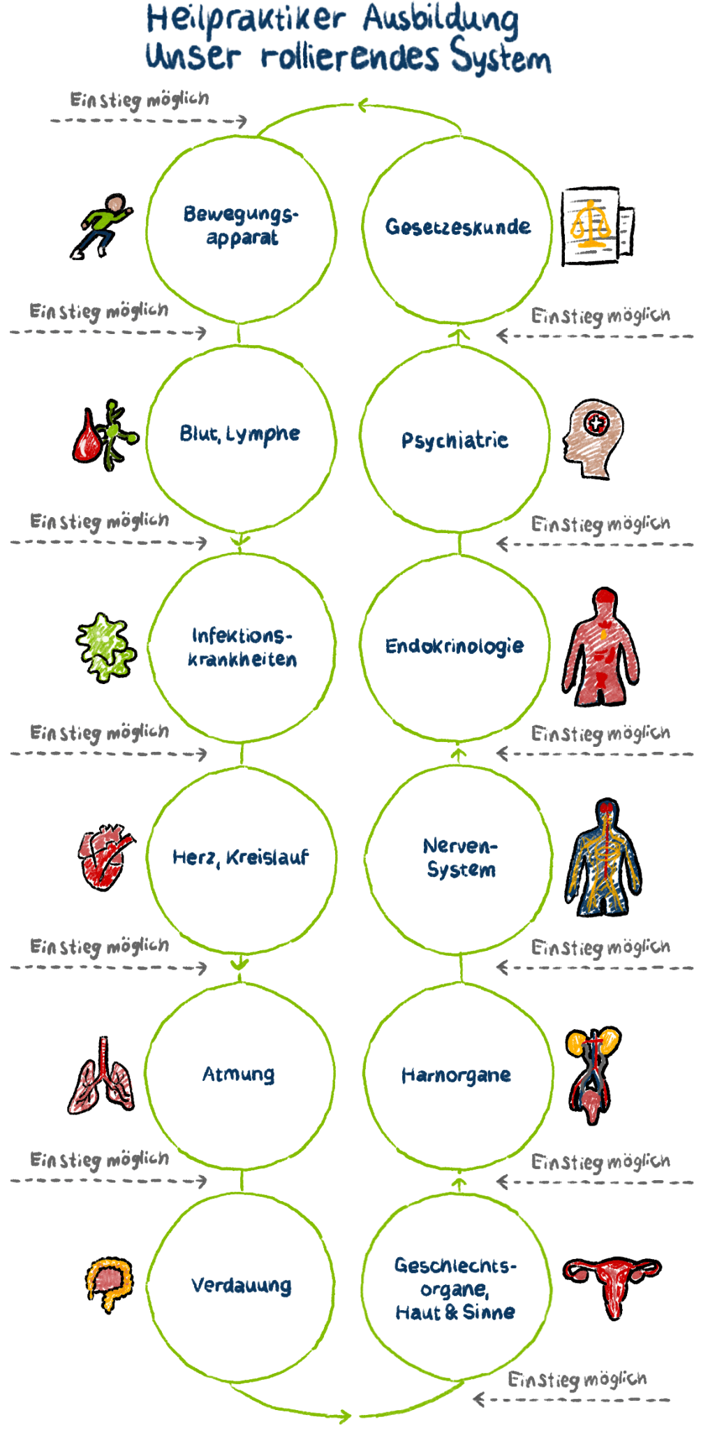 Grafik vom Rollierenden System. In der Mitte Heilpraktiker Ausbildung Unser rollierendes System. Darum Pfeile im Uhzeigersinn. Außenrum angeordnet im Kreis: Herz & Kreislauf, Atmung, Verdauung, Geschlechtsorgane Haut & Sinne, Harnorgane, Nerven-System, Endokrinologie, Psychiatrie, Gesetzeskunde, Bewegungsapparat, Blut & Lymphe, Infektions-Krankheiten. Zwischen allen Themen Einstieg möglich