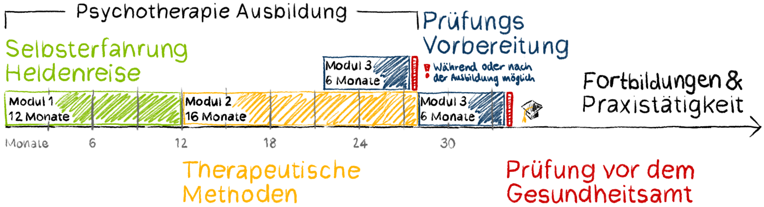 Grafik für die Ausbildung Heilpraktiker Psychotherapie. Psychotherapie Ausbildung bestehend aus Modul 1 (12 Monate): Selbsterfahrung Heldenreise. Modul 2 (16 Monate): Therapeutische Methoden. Anschließend oder während dem letzten Teil von Modul 2 dann Modul 3 (6 Monate): Prüfungsvorbereitung. Al letztes Prüfung vor dem Gesundheitsamt. Danach optional Fortbildungen & Praxistätigkeit