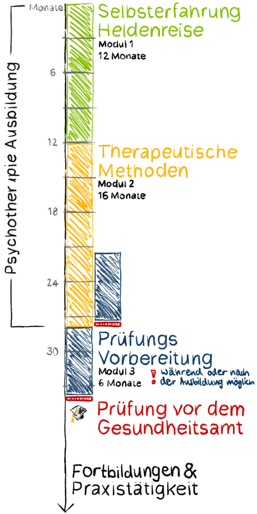 Grafik für die Ausbildung Heilpraktiker Psychotherapie für eine mobile Ansicht. Psychotherapie Ausbildung bestehend aus Modul 1 (12 Monate): Selbsterfahrung Heldenreise. Modul 2 (16 Monate): Therapeutische Methoden. Anschließend oder während dem letzten Teil von Modul 2 dann Modul 3 (6 Monate): Prüfungsvorbereitung. Al letztes Prüfung vor dem Gesundheitsamt. Danach optional Fortbildungen & Praxistätigkeit